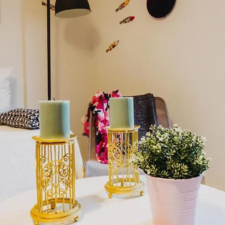 La Machacona Plaza Mayor *