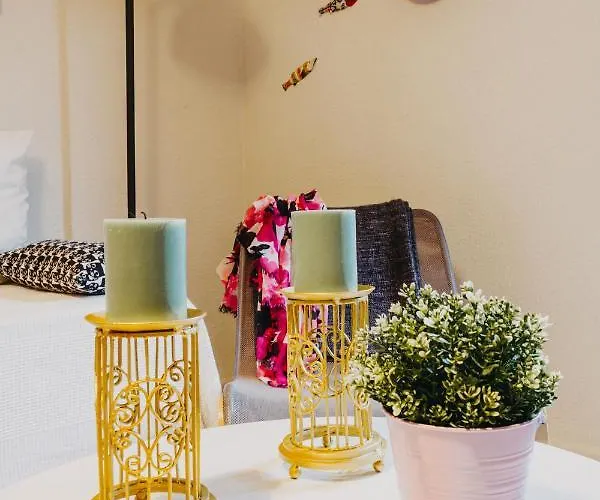 La Machacona Plaza Mayor *